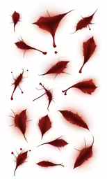 a collection of bloody red leaf designs