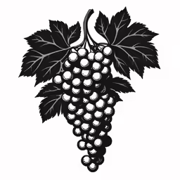 grapes with leaves hanging from the stems