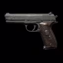 a gun with a wooden grips and silver body