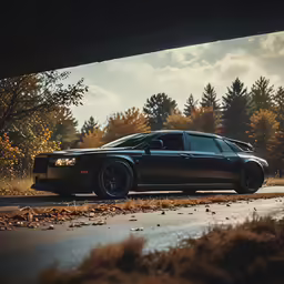 a black car parked under a bridge next to a forest