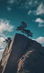 some trees on a large rock under the sky
