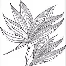 an image of a plant with many leaves,the plant with leaves in a frame on a white background