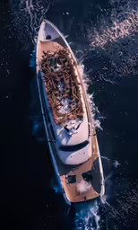 a motor boat loaded with a load of brown sea birds