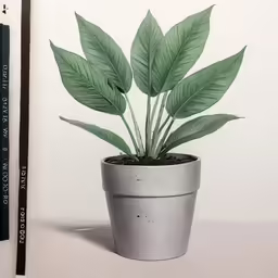 a potted plant on a desk next to a marker