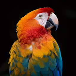 a colorful parrot is sitting on a branch
