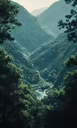 a landscape of deep forest and rivers