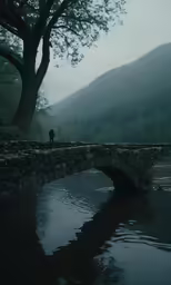a person standing on a bridge with a tree next to it