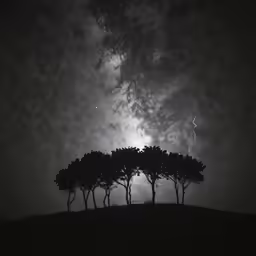 two trees are seen as a night sky shows through the clouds