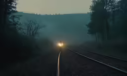 two men on a railroad track in a foggy forest