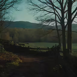 a dirt road in the woods with a fence