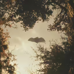 a view through the branches of a large bird flying near