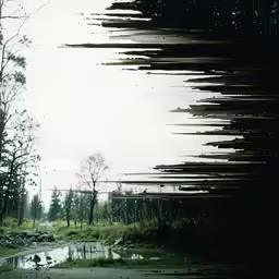 trees and grass with water in front of them