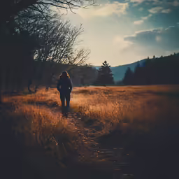 a person walking on a path in the woods