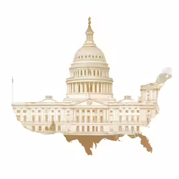the us capitol building is white in color