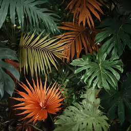 an orange flower and some palm leaves are seen
