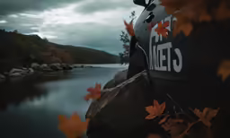 an image of a boat at the shore in the woods