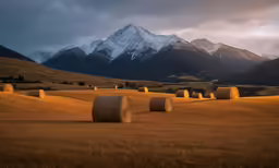 rolls of hay are on a grassy area near a mountain range
