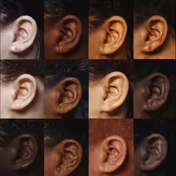 an assortment of various styles and shapes of ear