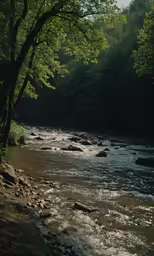 a river runs through the woods with its running waters
