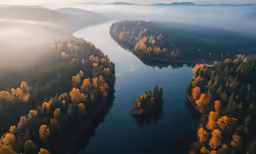 a river in a forested area near some hills