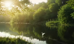 there is a bird standing on a branch in the water