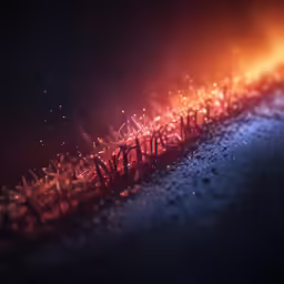 a street with many grass in it at night