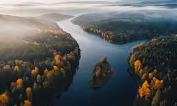 an aerial view of some trees with many color changing