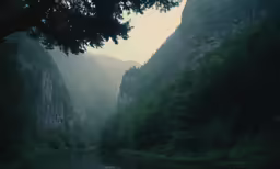 the canyon in a misty day is lined with rocks and trees