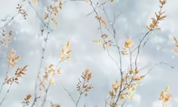 a tall leafy branch against a cloudy sky
