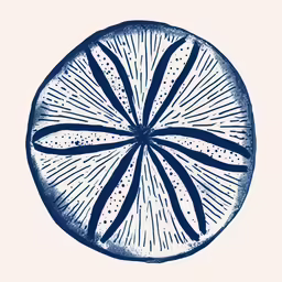 an orange slice with dark blue streaks in it
