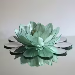 a large green flower in a vase with water reflection