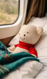 a stuffed animal sits in front of a window on a bed