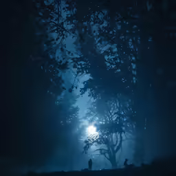 a person standing at the end of a tree in the forest with light shining through the trees