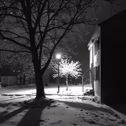 snowy street scene with a lone tree in the background