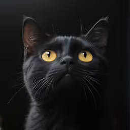 a black cat with yellow eyes looking up