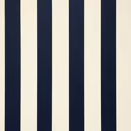 a black and white striped rug with blue stripes