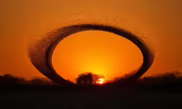 an orange sunset with dots of dots in the sky