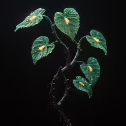 an unusual green and yellow plant with leaves and little light