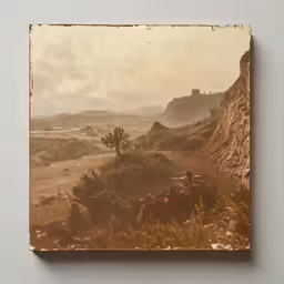 a landscape photograph of an area with dry plants