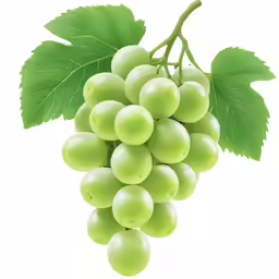 grapes with green leaves are hanging from a branch