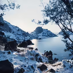 snowy terrain with water and trees in the background