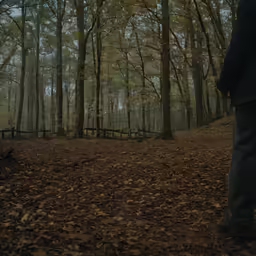 the man walks away from the camera through leaves