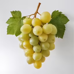 a close up of grapes with leaves on a white background