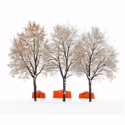 four trees in the snow near orange trash cans