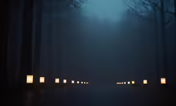 the dark forest features lanterns lighting up the walkway