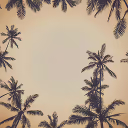 a brown and tan sky is surrounded by palm trees