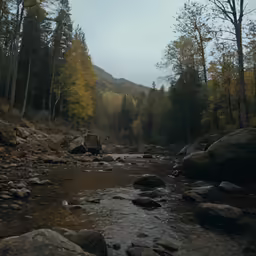 a river is in the middle of trees and rocks
