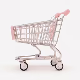 a small shopping cart on the ground
