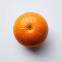 an orange with a white background is pictured