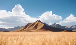 there is a very tall mountain in the distance